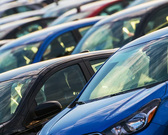 Testimonial Card Alpha